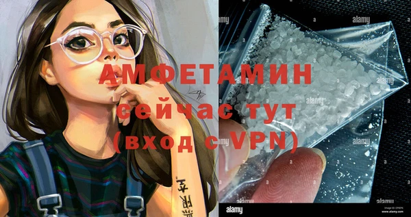 крисы Осинники