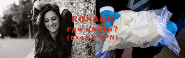 крисы Осинники