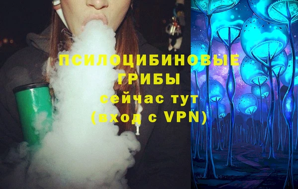 крисы Осинники