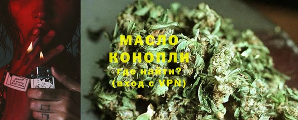 крисы Осинники
