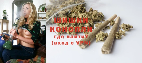 крисы Осинники