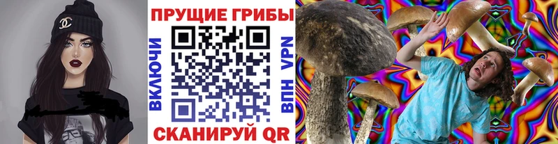 купить наркотик  mega вход  Галлюциногенные грибы Psilocybine cubensis  Малаховка 