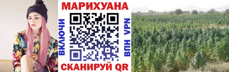 Бошки марихуана White Widow Малаховка